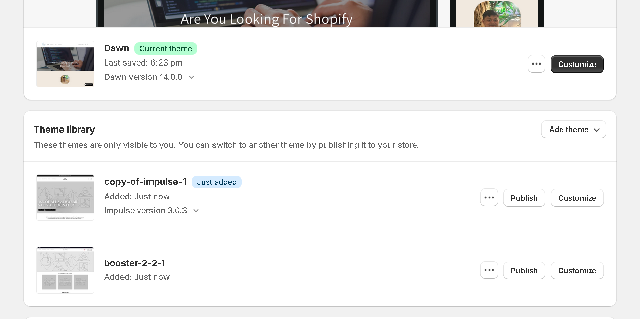 A screenshot of Mr Kendall's Shopify online store theme library section 